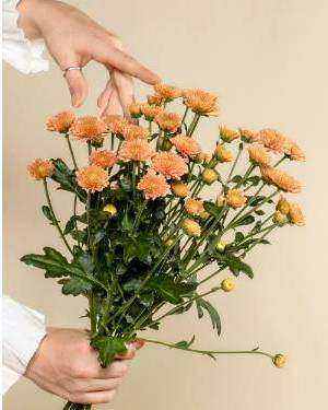 Bouquet 2