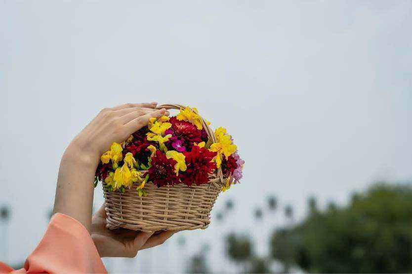 Hand-tied posy
