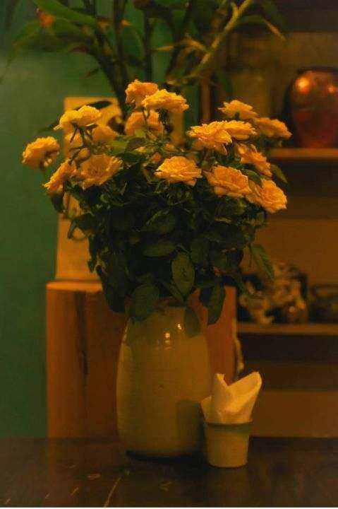 Blushing Rose Bouquet