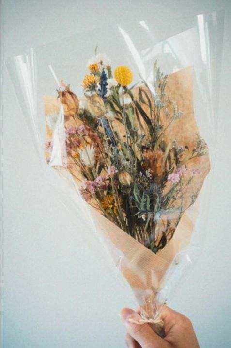 Wild Romance
