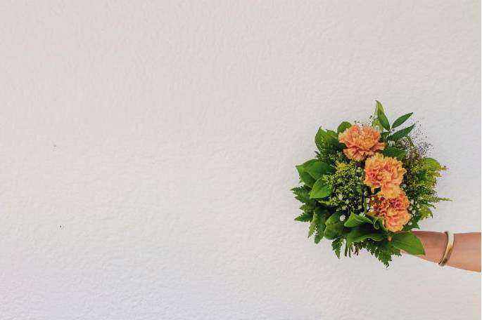 Australian native flowers background