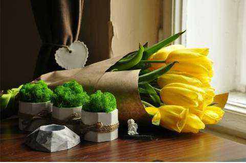 Native Posy