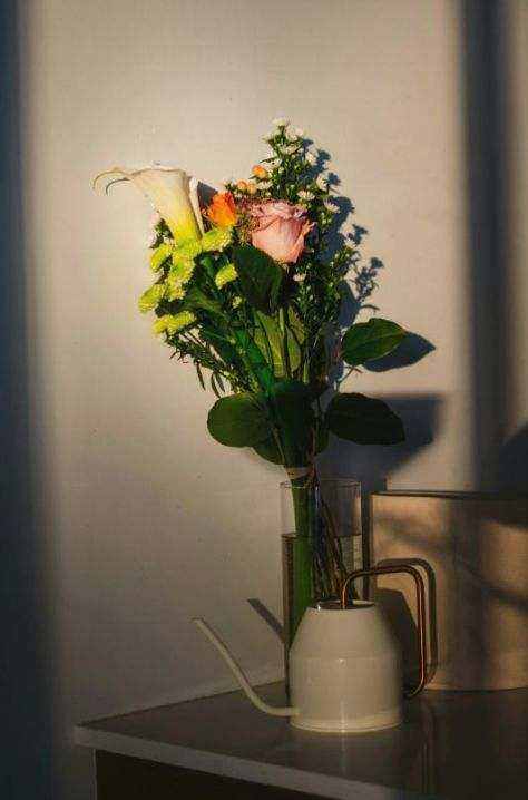 Elegant orchid in gift box
