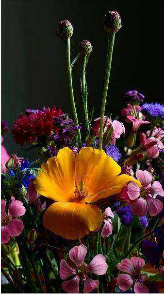 Sun-kissed lilies bouquet